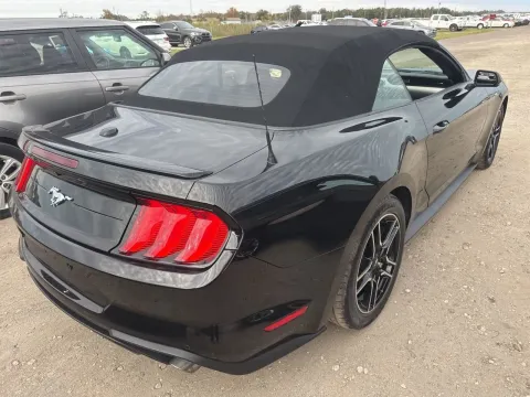 Another view of 2019 Ford Mustang EcoBoost Premium for sale in Branson West, MO at Oakley Auto World