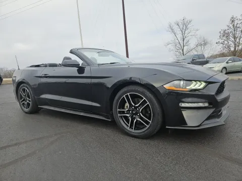 More photos of 2019 Ford Mustang EcoBoost Premium at Oakley Auto World, MO