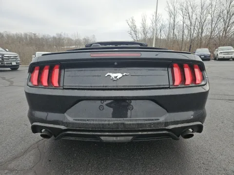 Another view of 2019 Ford Mustang EcoBoost Premium for sale in Branson West, MO at Oakley Auto World