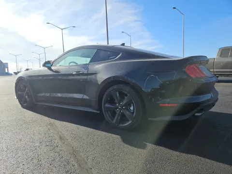 Photos of 2021 Ford Mustang EcoBoost for sale in Branson West, MO at Oakley Auto World