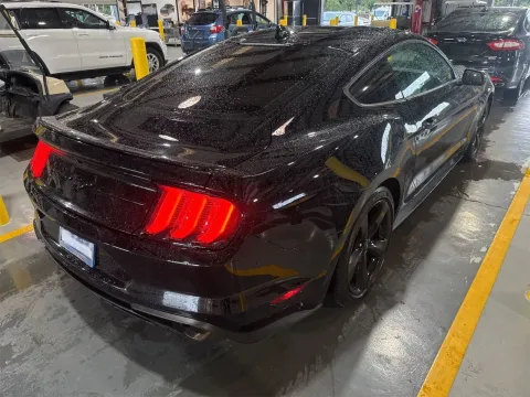 Another view of 2021 Ford Mustang EcoBoost for sale in Branson West, MO at Oakley Auto World