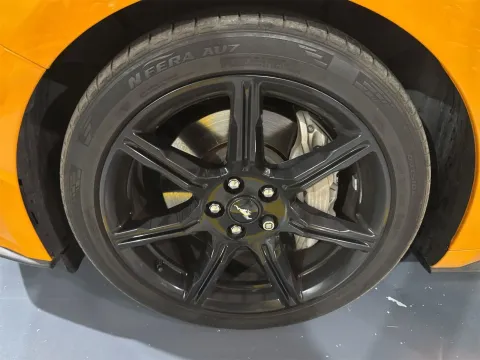 More photos of 2019 Ford Mustang GT at Oakley Auto World, MO