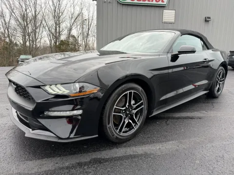 More photos of 2023 Ford Mustang EcoBoost Premium at Oakley Auto World, MO