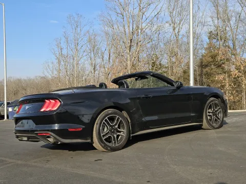 More photos of 2023 Ford Mustang EcoBoost Premium at Oakley Auto World, MO