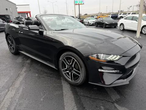 More photos of 2023 Ford Mustang EcoBoost Premium at Oakley Auto World, MO
