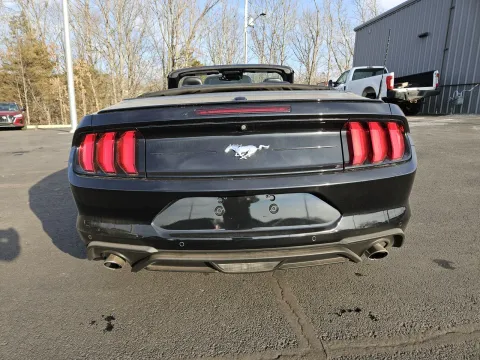 Another view of 2023 Ford Mustang EcoBoost Premium for sale in Branson West, MO at Oakley Auto World