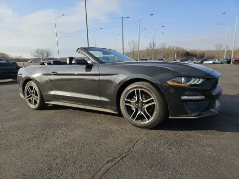 More photos of 2023 Ford Mustang EcoBoost Premium at Oakley Auto World, MO