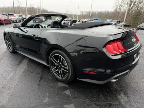 Photos of 2023 Ford Mustang EcoBoost Premium for sale in Branson West, MO at Oakley Auto World