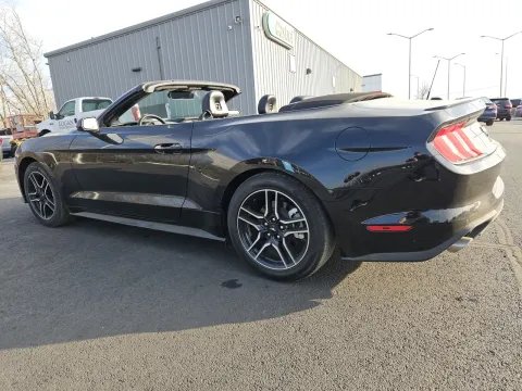 Photos of 2023 Ford Mustang EcoBoost Premium for sale in Branson West, MO at Oakley Auto World