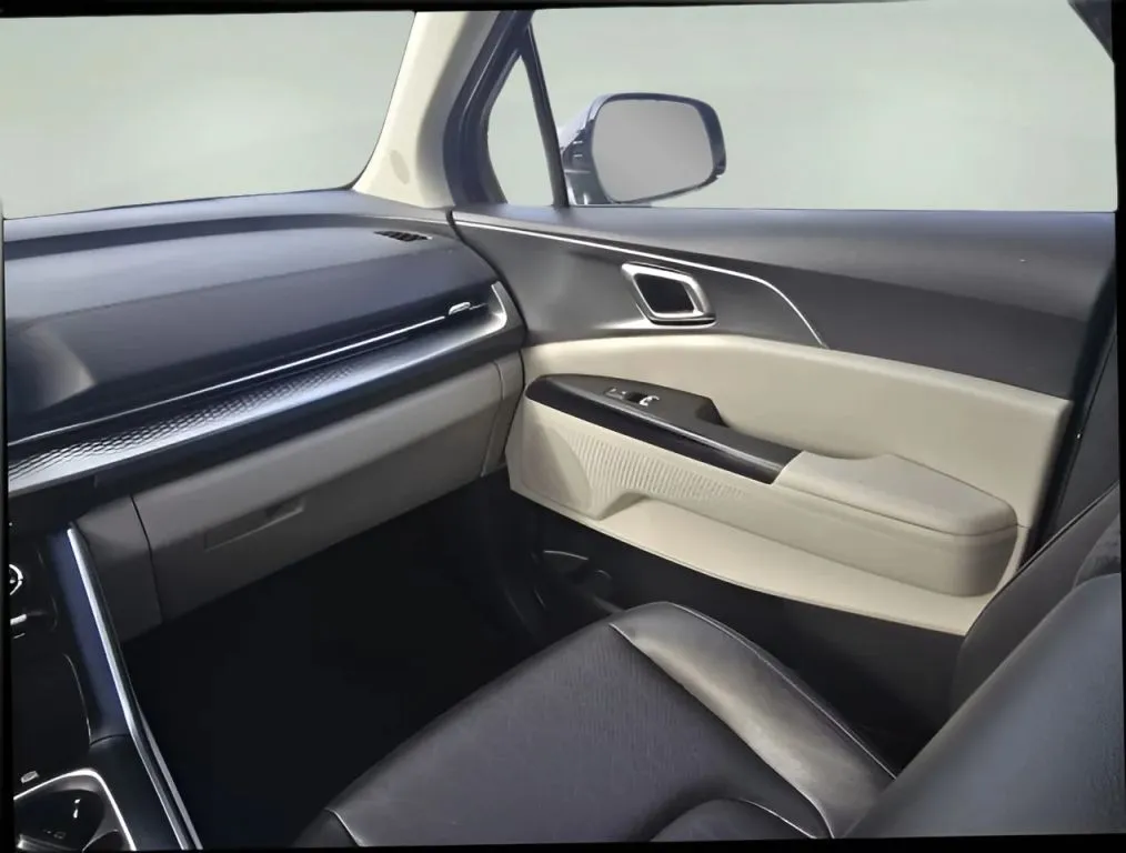 2024 Kia Carnival thumbnail 26