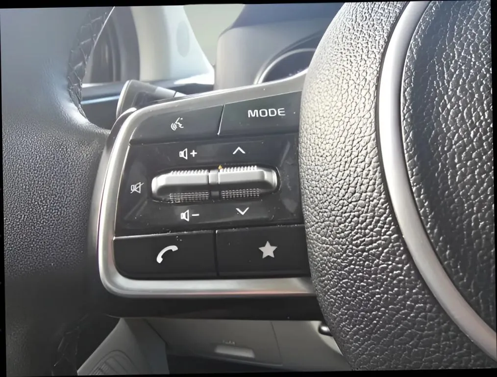 2024 Kia Carnival thumbnail 28