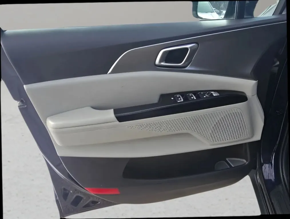 2024 Kia Carnival thumbnail 11