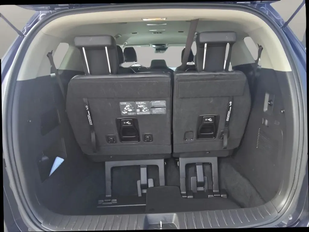 2024 Kia Carnival thumbnail 31