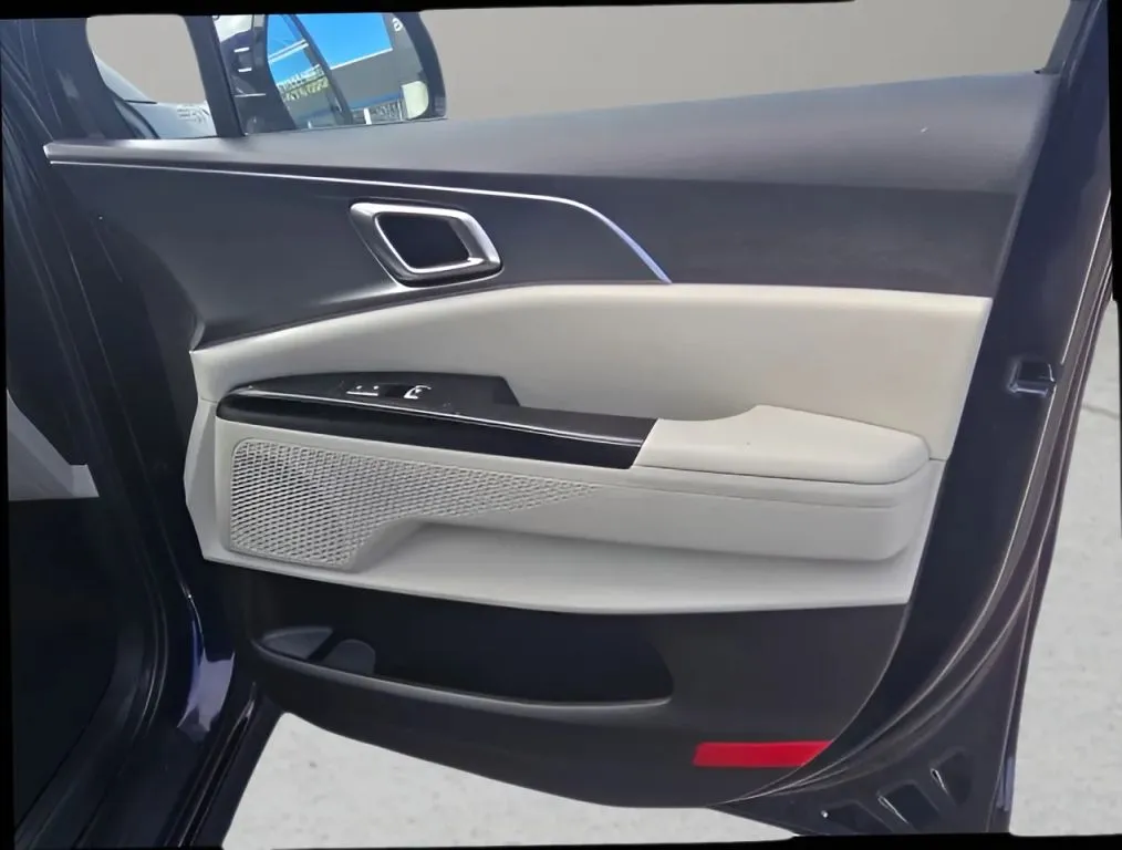 2024 Kia Carnival thumbnail 21