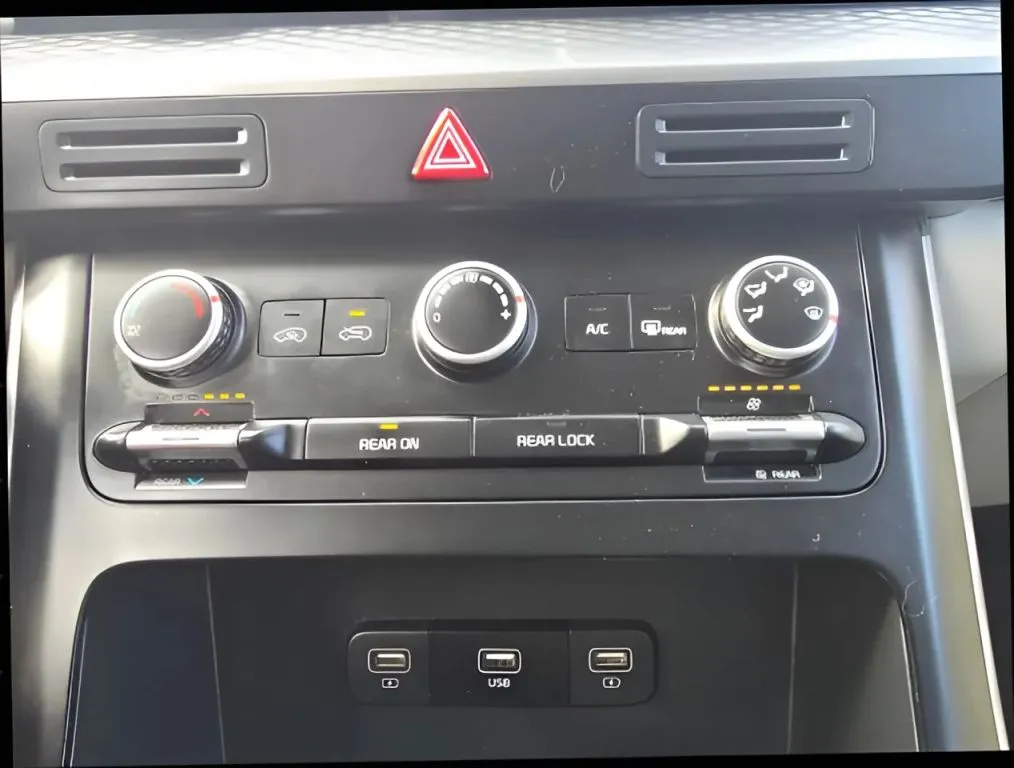 2024 Kia Carnival thumbnail 20