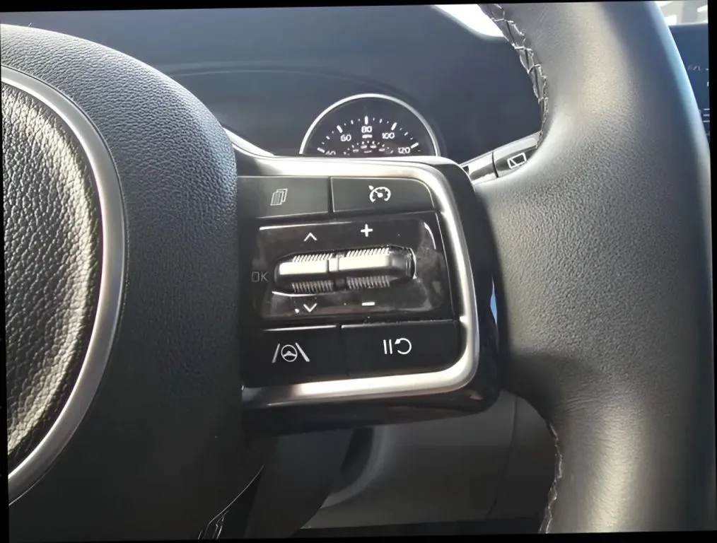 2024 Kia Carnival thumbnail 9