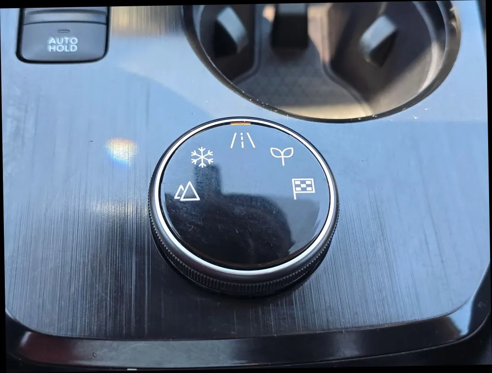 Nissan Rogue photo 28