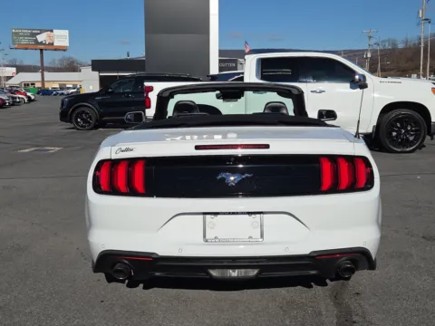 More photos of 2023 Ford Mustang EcoBoost Premium at Outten Kia, PA