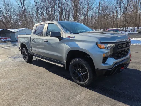 Gray 2024 Chevrolet Silverado 1500 Custom Trail Boss for sale in Hamburg, PA
