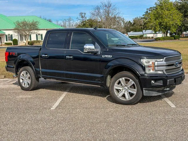 Black 2019 Ford F-150 Platinum for sale in Foley, AL