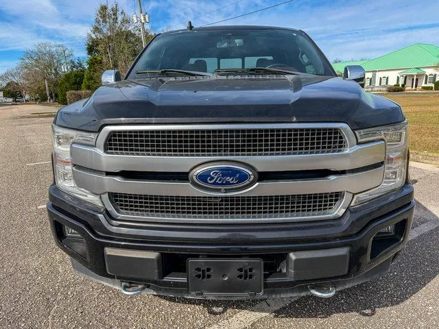 2019 Ford F-150 Platinum - Photo 6