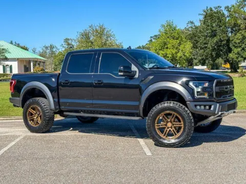 Black 2019 Ford F-150 Raptor for sale in Foley, AL