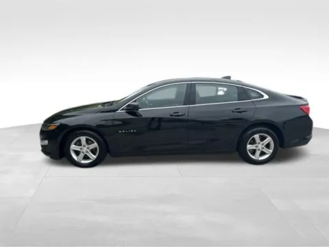 Another view of 2023 Chevrolet Malibu LS for sale in Indianola, IA at Gregg Young Buick GMC Indianola