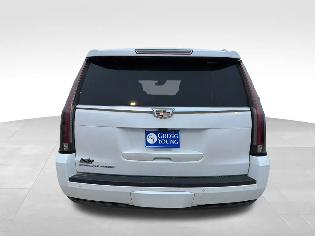 2020 Cadillac Escalade Luxury photo 3