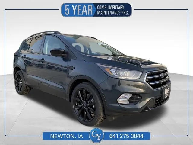 Green 2019 Ford Escape SE for sale in Newton, IA