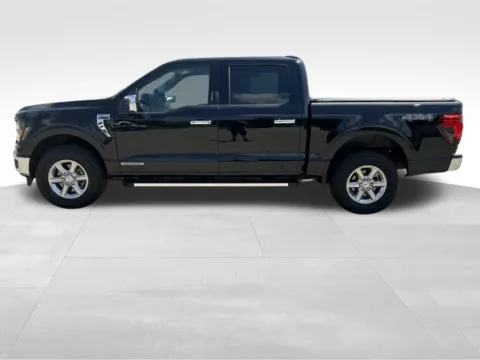 Another view of 2024 Ford F-150 XLT for sale in Newton, IA at Gregg Young Chevrolet Newton