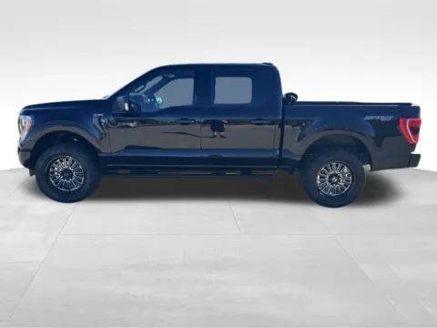 Another view of 2023 Ford F-150 XLT for sale in Newton, IA at Gregg Young Chevrolet Newton