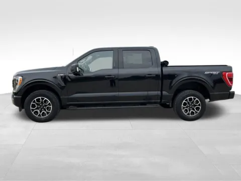 Another view of 2023 Ford F-150 XLT for sale in Newton, IA at Gregg Young Chevrolet Newton