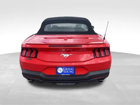 More photos of 2025 Ford Mustang EcoBoost Premium at Gregg Young Chevrolet of Norwalk, IA