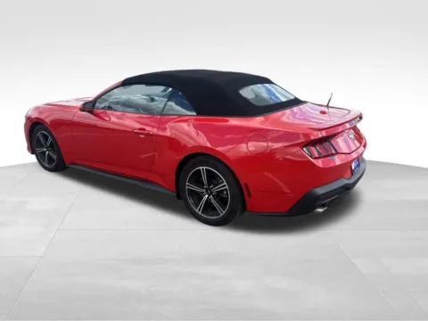 More photos of 2025 Ford Mustang EcoBoost Premium at Gregg Young Chevrolet of Norwalk, IA