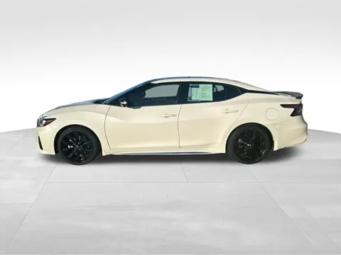 More photos of 2020 Nissan Maxima SR at Gregg Young of Newton, IA