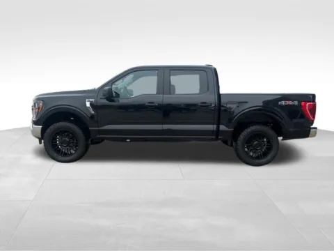 Another view of 2023 Ford F-150 XLT for sale in Newton, IA at Gregg Young of Newton