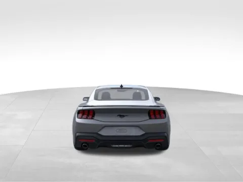 More photos of 2026 Ford Mustang EcoBoost at Gregg Young Ford of Newton, IA