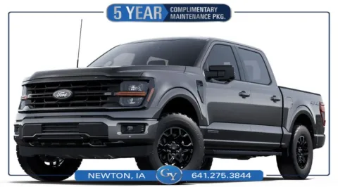 Gray 2025 Ford F-150 XLT for sale in Newton, IA