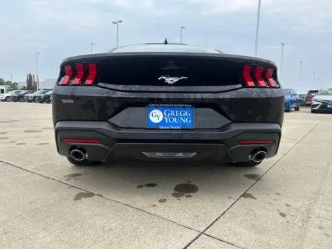 More photos of 2026 Ford Mustang EcoBoost Premium at Gregg Young Ford of Newton, IA