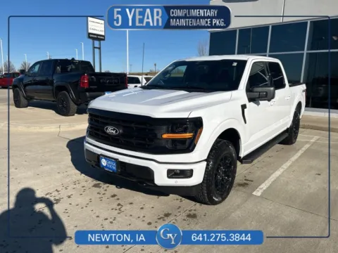 Gray 2025 Ford F-150 XLT for sale in Newton, IA