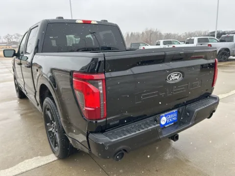 Another view of 2026 Ford F-150 STX for sale in Newton, IA at Gregg Young Ford of Newton