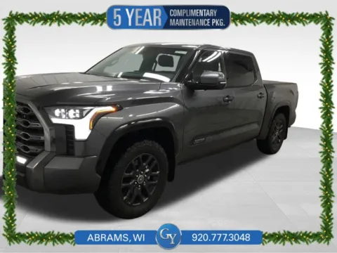 Gray 2023 Toyota Tundra Platinum for sale in Abrams, WI