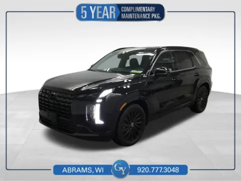 Black 2025 Hyundai Palisade Calligraphy Night Edition for sale in Abrams, WI