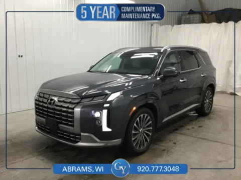 Gray 2024 Hyundai Palisade Calligraphy for sale in Abrams, WI