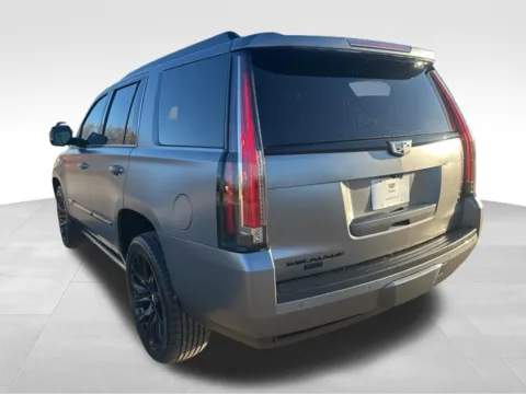 Another view of 2020 Cadillac Escalade Platinum Edition for sale in Newton, IA at Gregg Young Cadillac of Newton