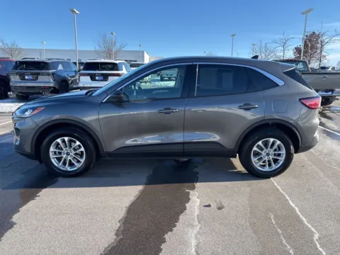 Photos of 2022 Ford Escape SE for sale in Marshalltown, IA at Gregg Young Chevrolet Marshalltown