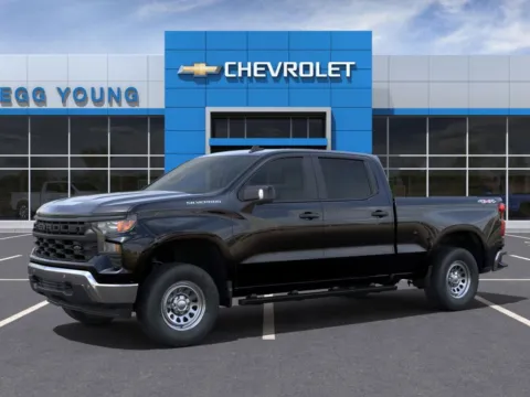 Photos of 2025 Chevrolet Silverado 1500 WT for sale in Marshalltown, IA at Gregg Young Chevrolet Marshalltown