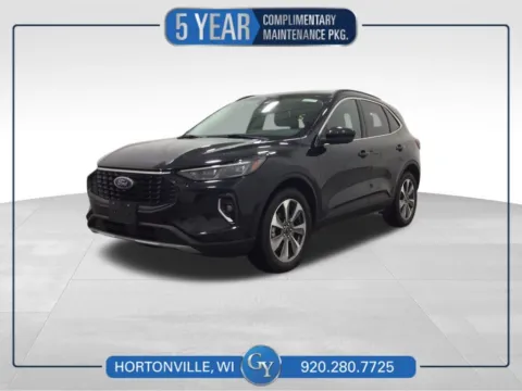Black 2023 Ford Escape Platinum for sale in Hortonville, WI