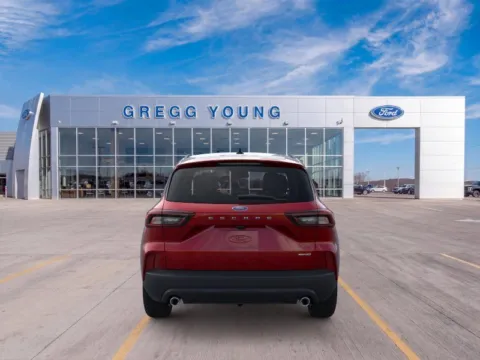 More photos of 2026 Ford Escape ST-Line at Gregg Young Hortonville Ford, WI