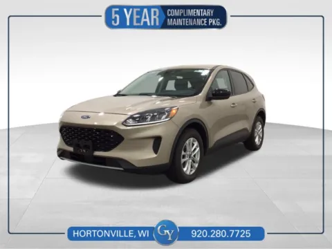 Gold 2020 Ford Escape SE Sport Hybrid for sale in Hortonville, WI